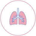 ícone do serviço Exames Pulmonares